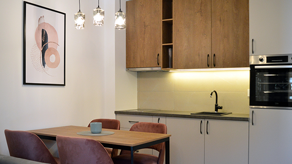 Privatni stanovi Zlatibor - AN Arhitektura